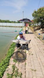 Lọ mồi câu cá trắm Đen, thính dụ trắm đen câu đài SC5 Fishing Bắt Cá Fishing Bắt Cá