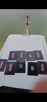 Lọ mồi câu cá trắm Đen, thính dụ trắm đen câu đài SC5 Fishing Bắt Cá Fishing Bắt Cá