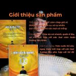 Mồi Câu Chuyên Chép LK giá rẻ (vàng) - Sản phẩm chất lượng